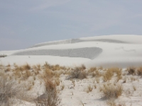 White Sands NM May 2008